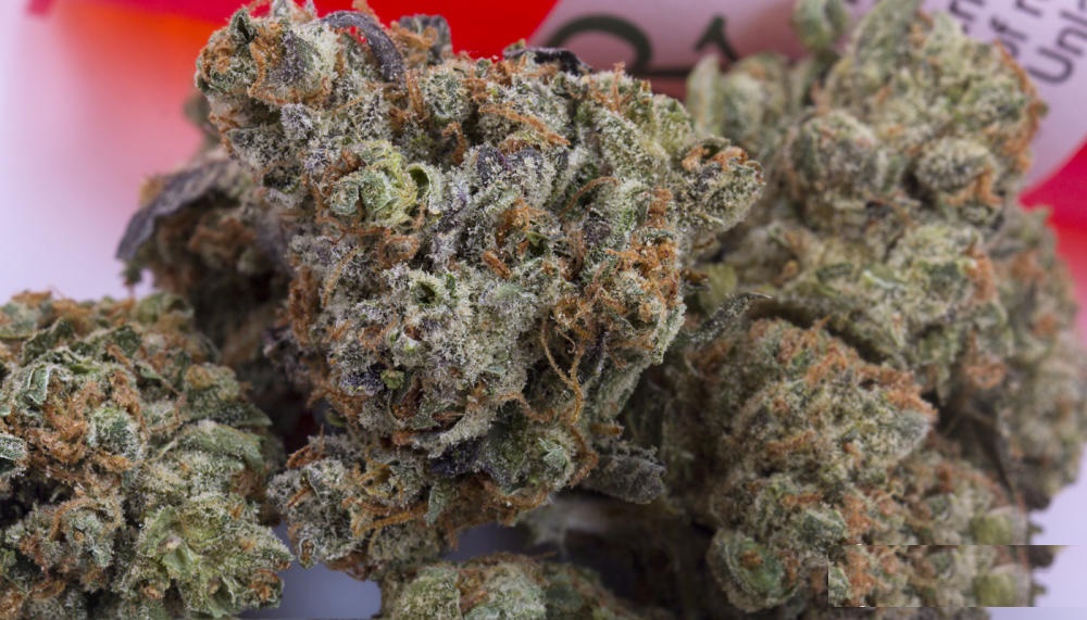 best mushroom strain for PTSD